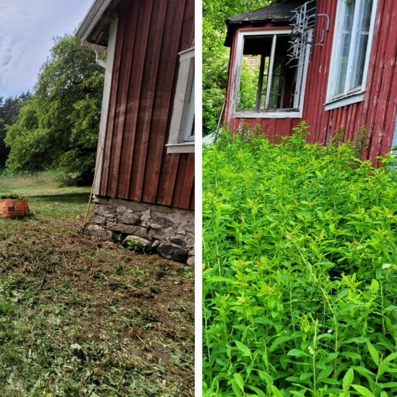 Spolio hemsida bilder (22)