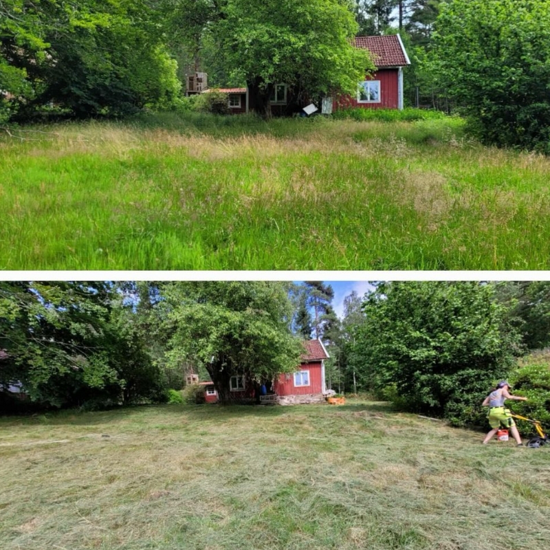 Spolio hemsida bilder (23)